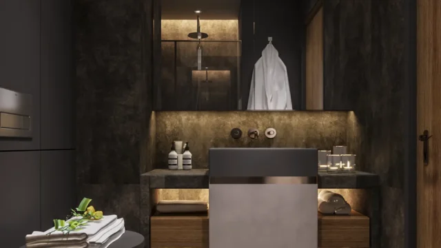 1+1 banyo1