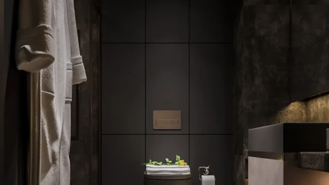 1+1 banyo3